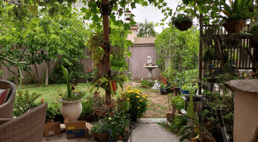 Gardens After