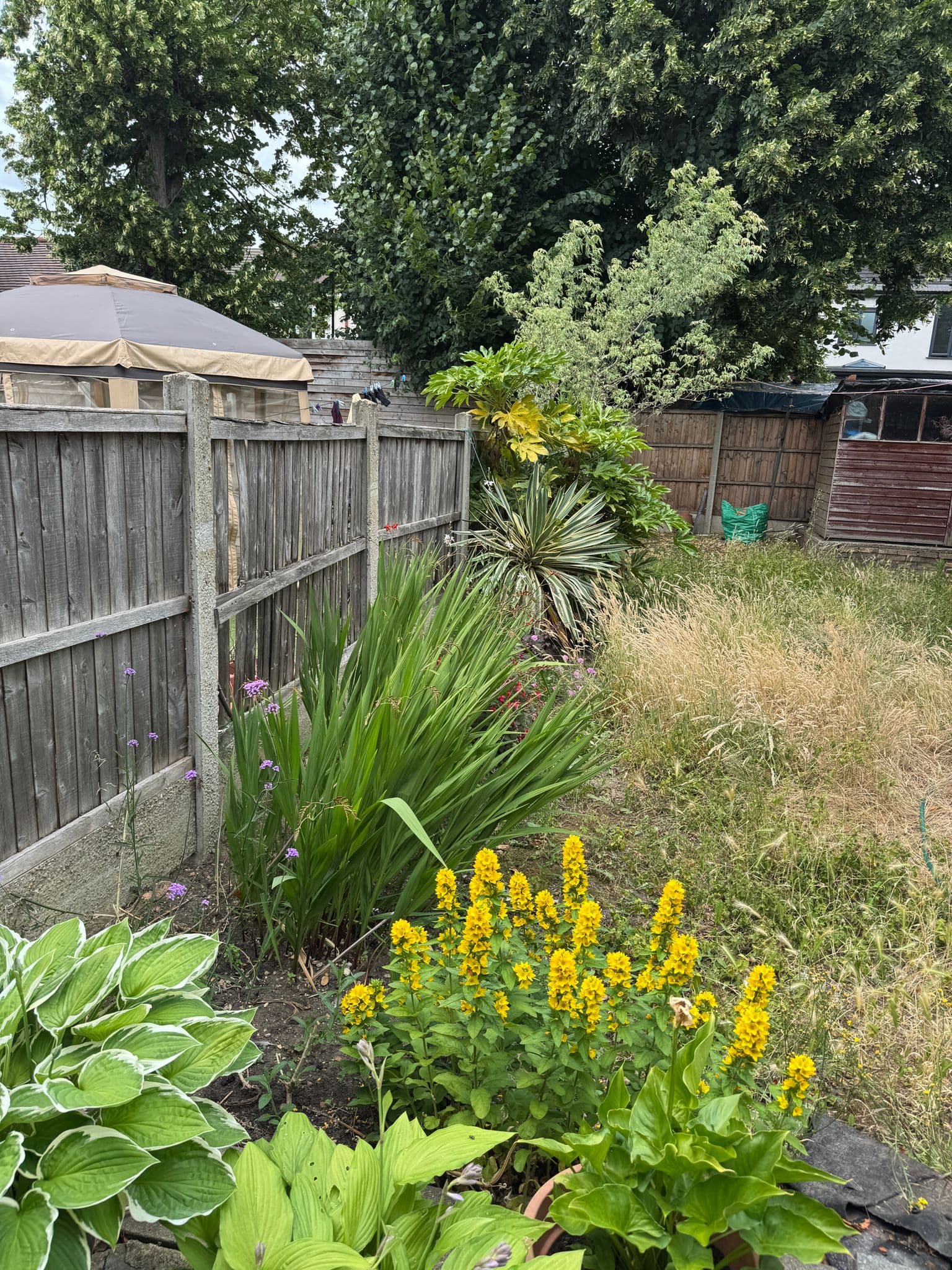 Gardens Before