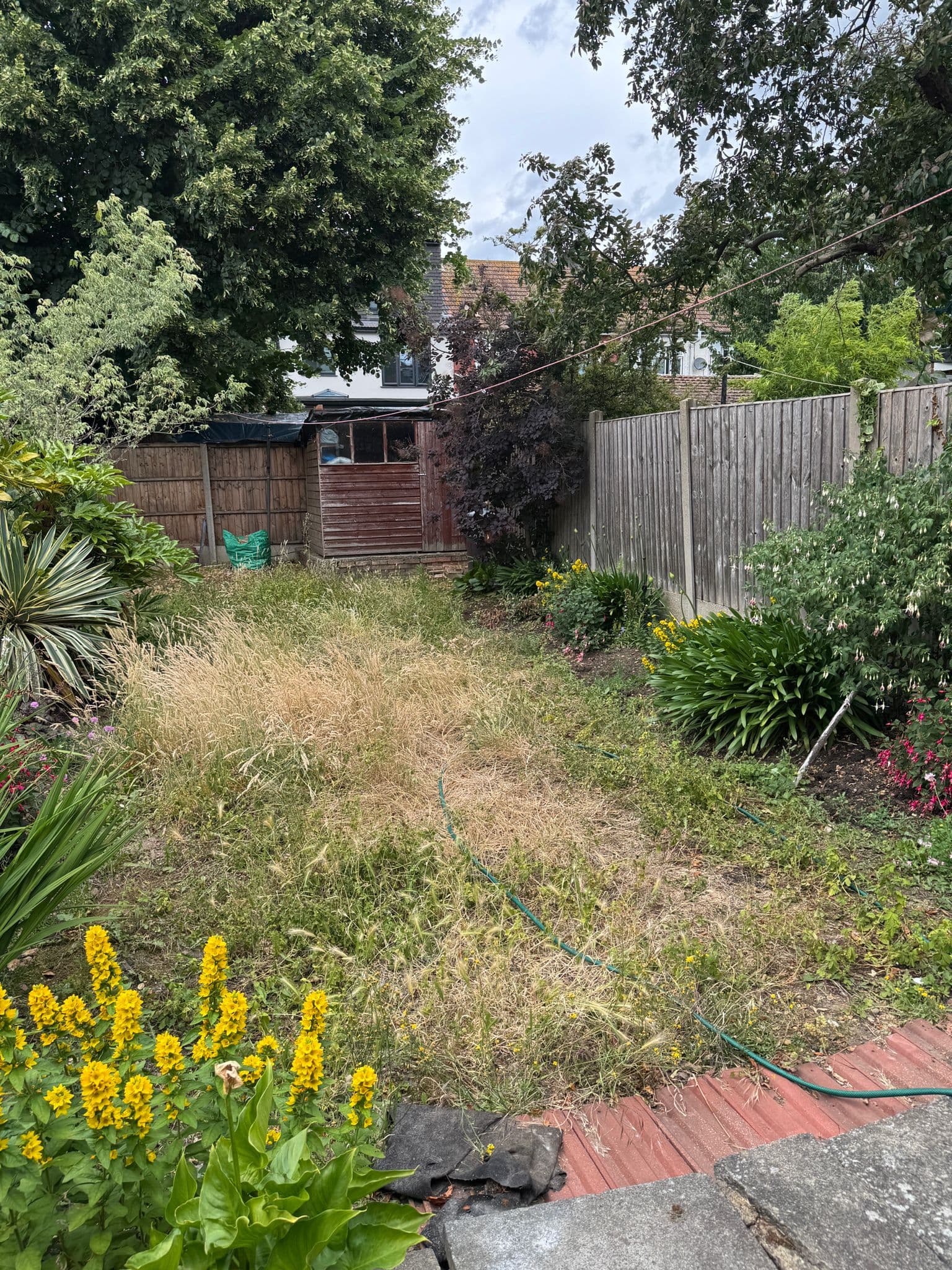 Gardens Before